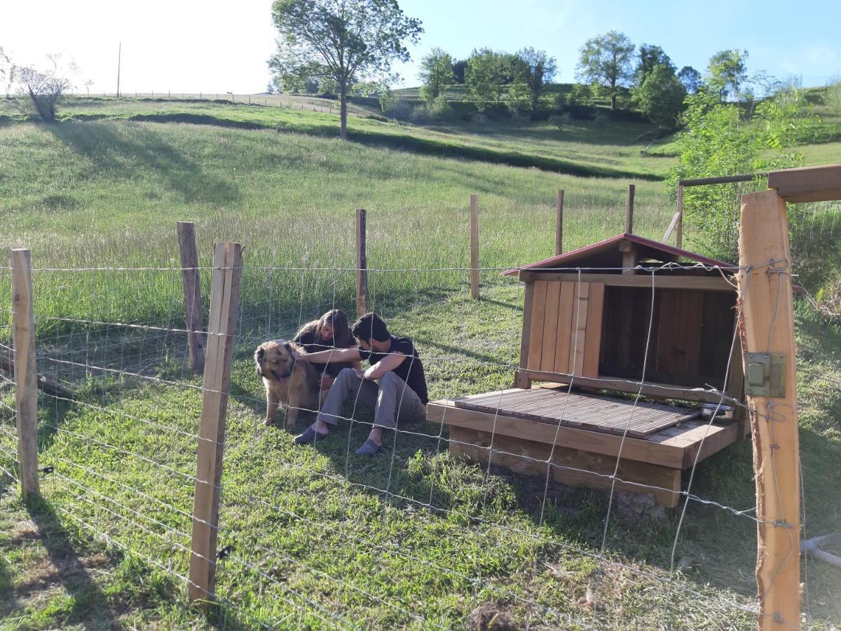 Eguzkitze Alojamiento Rural Lss00085 Abaltzisketa Экстерьер фото