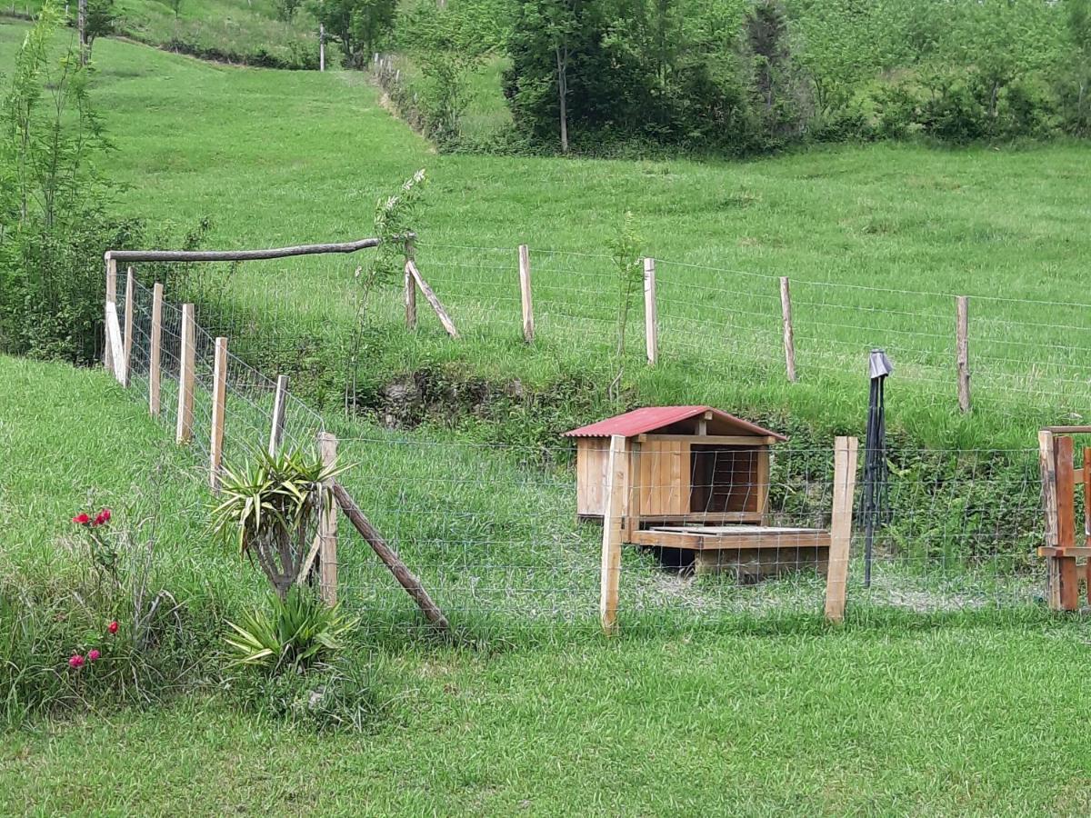 Eguzkitze Alojamiento Rural Lss00085 Abaltzisketa Экстерьер фото