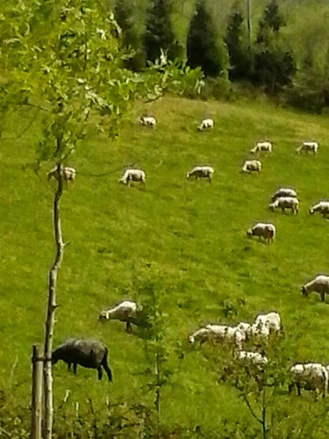 Eguzkitze Alojamiento Rural Lss00085 Abaltzisketa Экстерьер фото